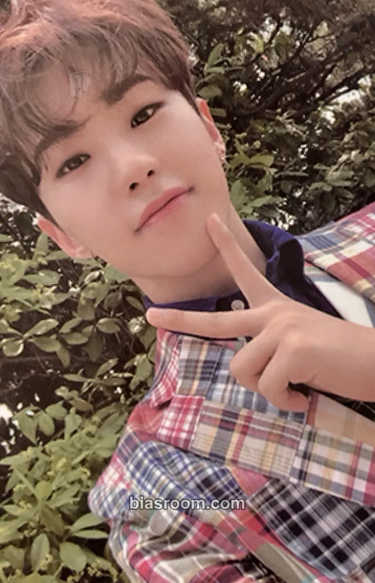 Hoshi An Ode Photocard - SEVENTEEN - SEVENTEEN K-pop photocard