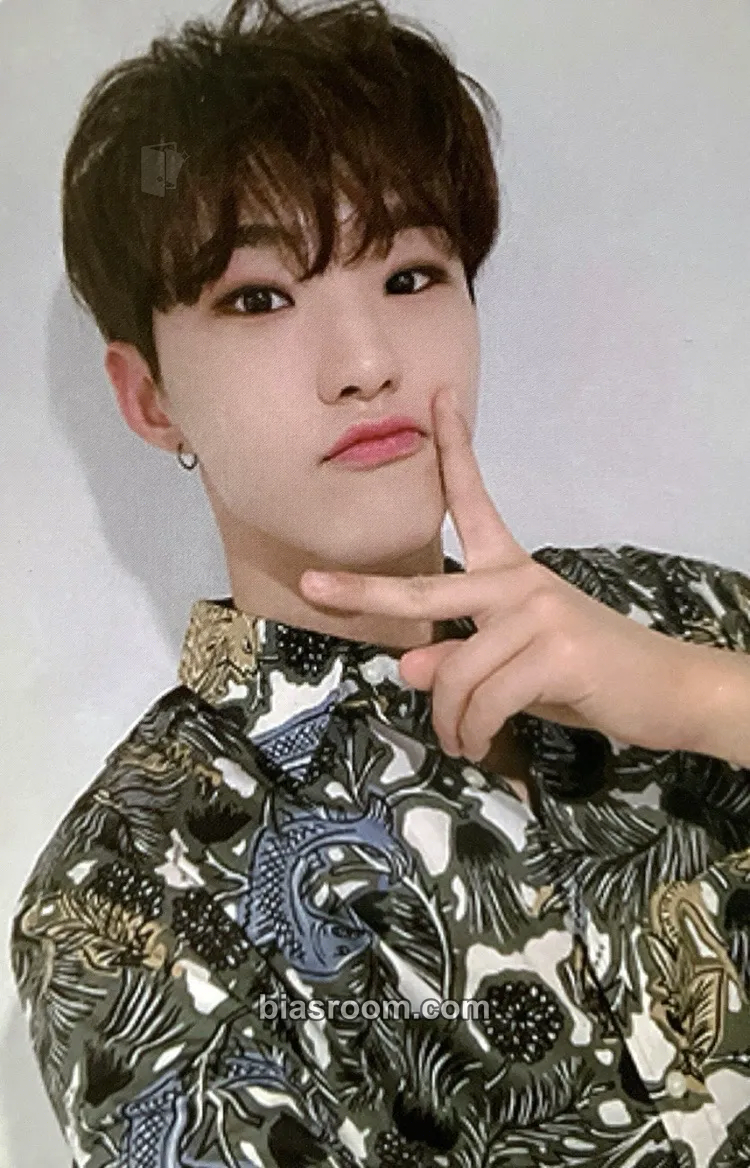 Hoshi An Ode Photocard - SEVENTEEN - SEVENTEEN K-pop photocard