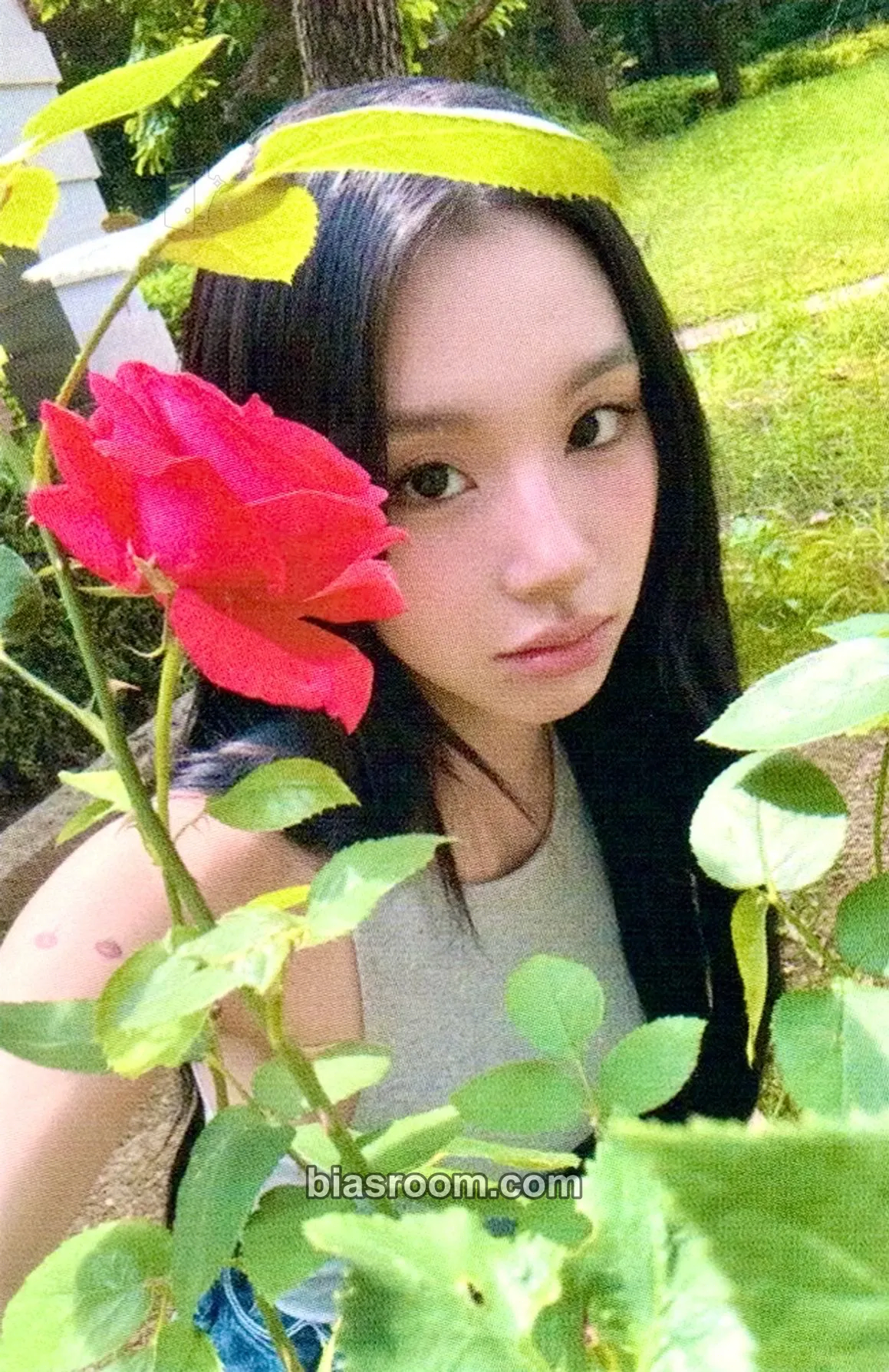 Chaeyoung CHAEYOUNG x Esquire Special Photobook: ONCE More Photocard - TWICE - TWICE K-pop photocard