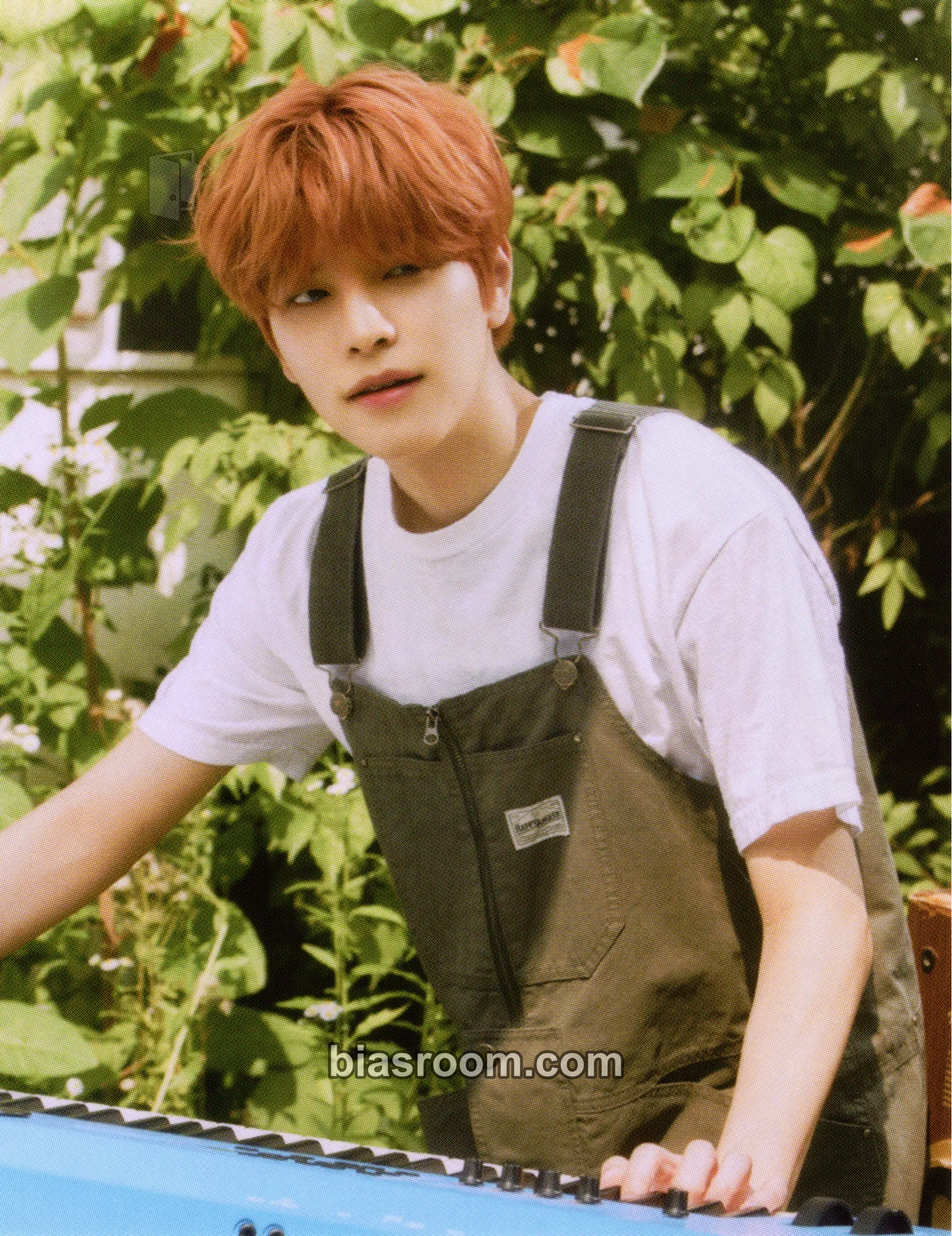 Seungmin NACIFIC x Stray Kids Photocard - Stray Kids - Stray Kids K-pop photocard