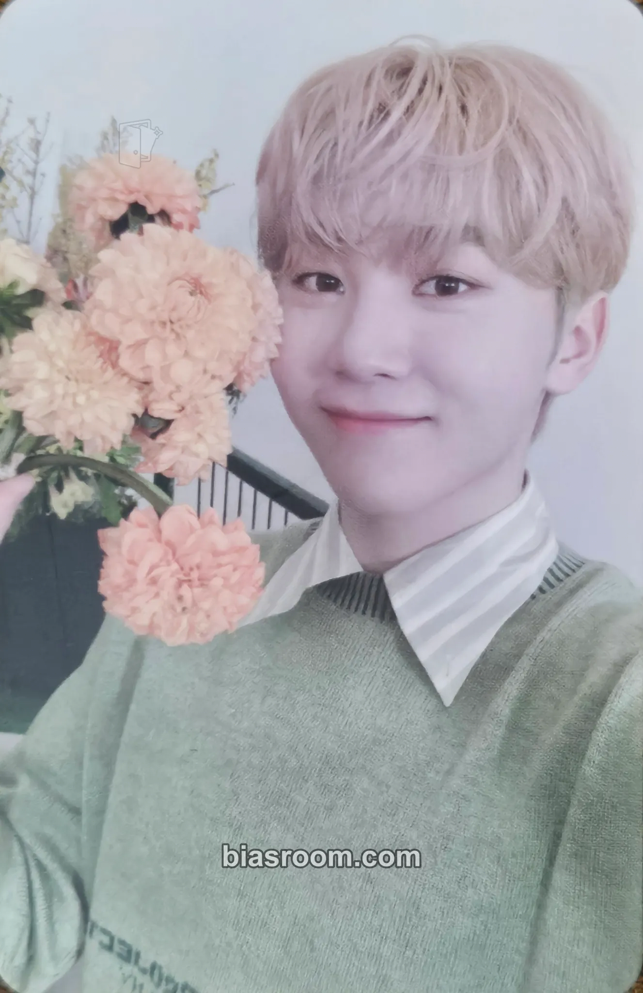 Seungkwan Your Choice Photocard - SEVENTEEN - SEVENTEEN K-pop photocard