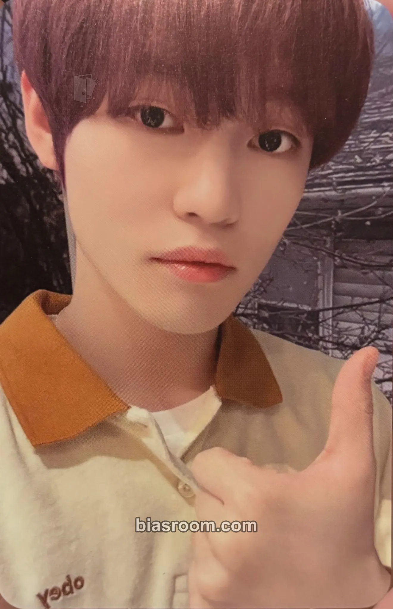 Chenle ISTJ MD Photocard - NCT DREAM - NCT DREAM K-pop photocard