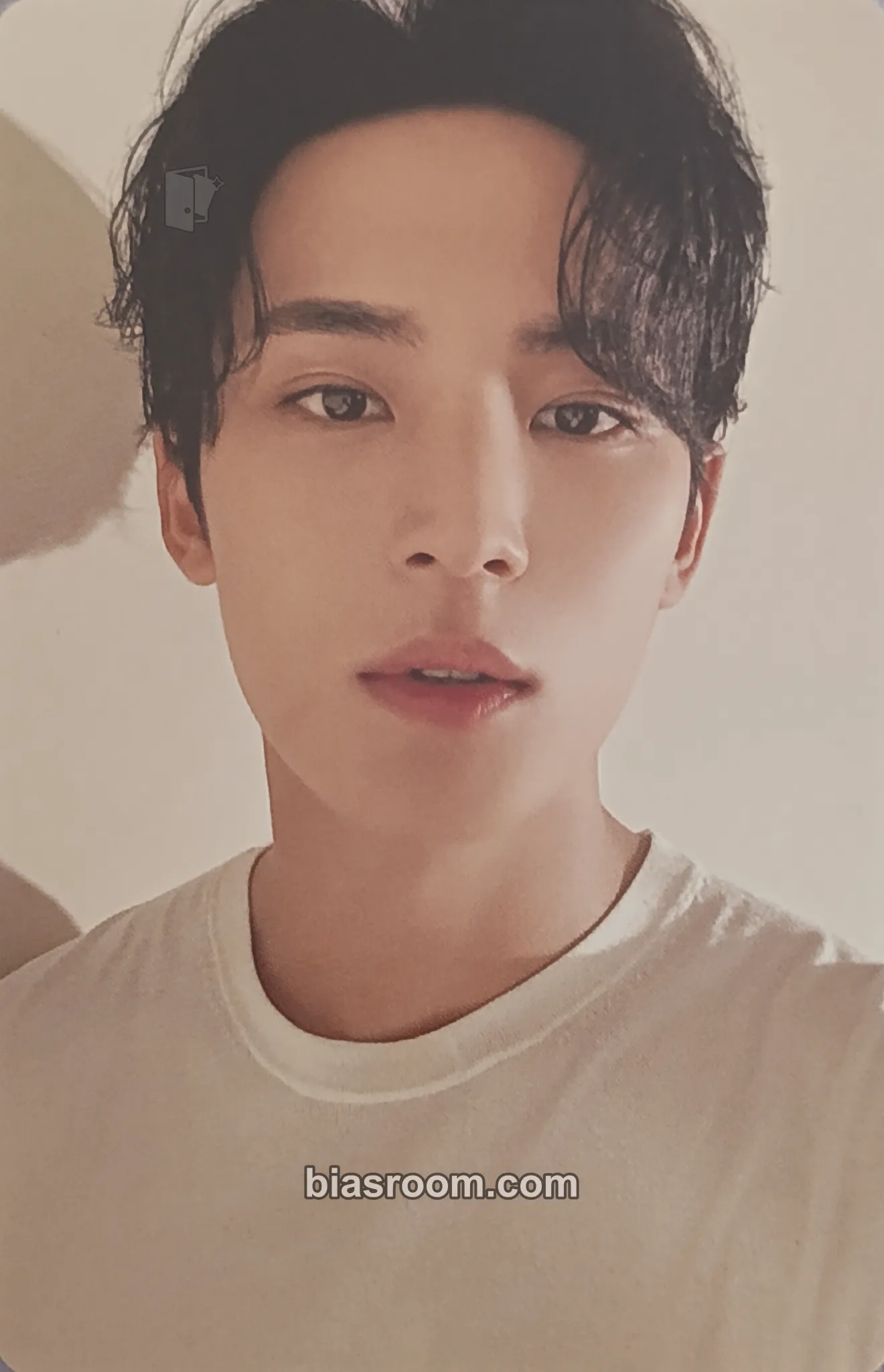 Mingyu 2024 Season's Greetings Photocard - SEVENTEEN - SEVENTEEN K-pop photocard