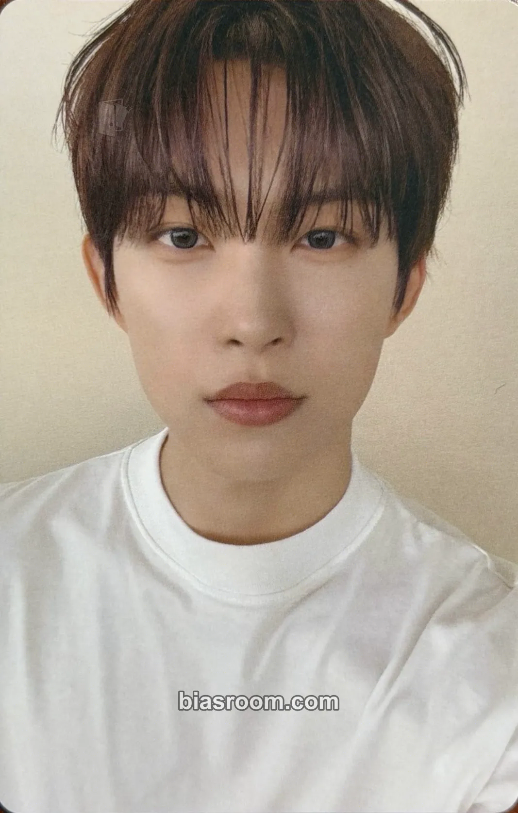 Geonwoo EUPHORIA Photocard - ALPHA DRIVE ONE - ALPHA DRIVE ONE K-pop photocard