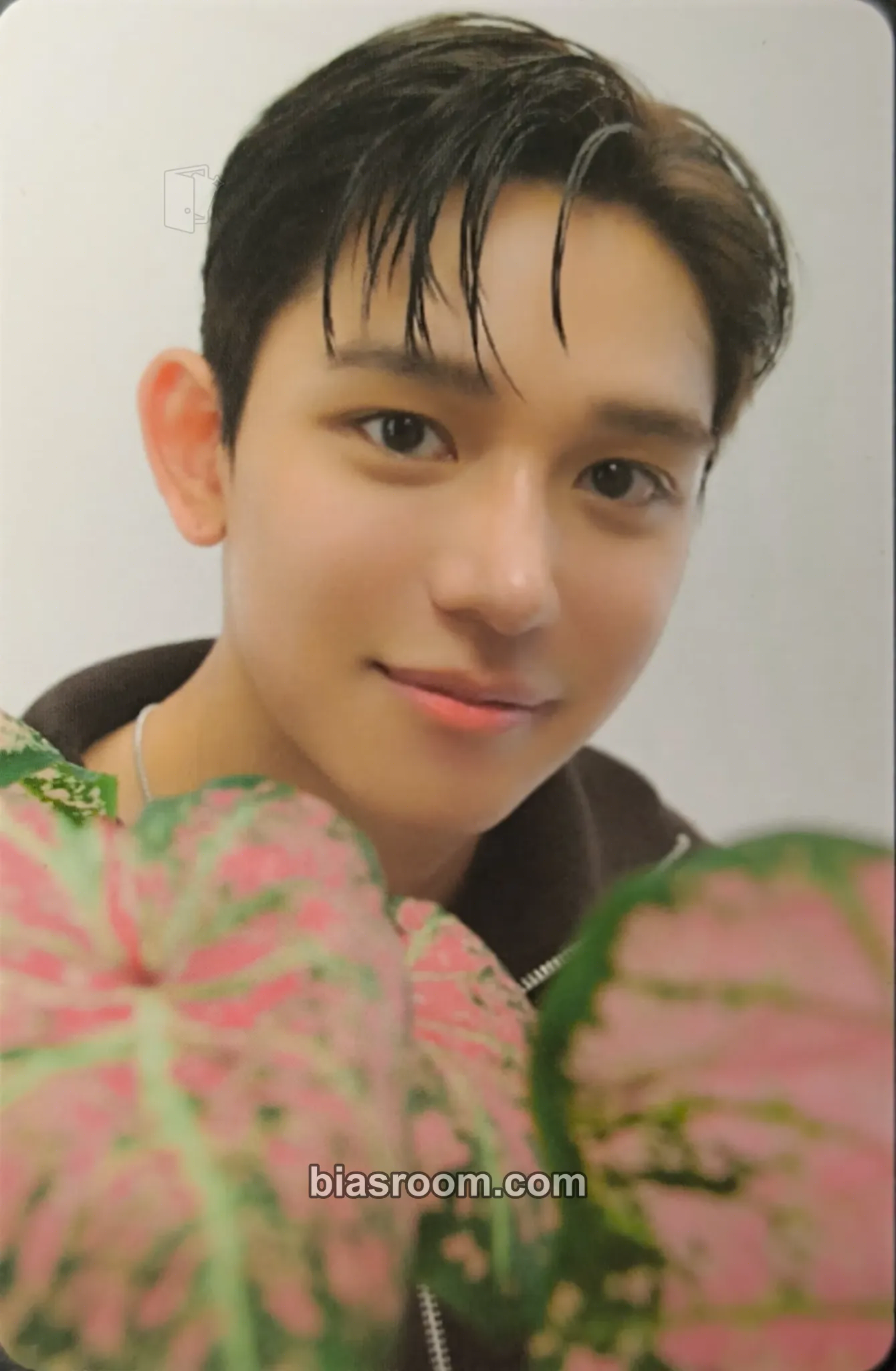 Lucas 2025 SMTOWN: THE CULTURE, THE FEATURE Photocard - Lucas K-pop photocard