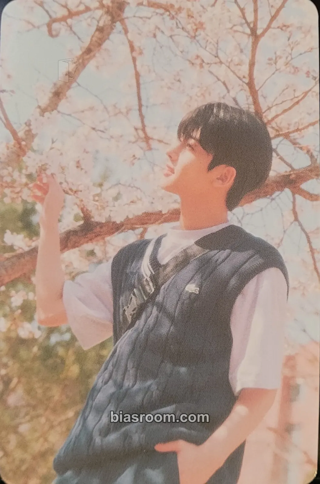 Woono 빛 : Bit Part.1 Photocard - Younite - Younite K-pop photocard