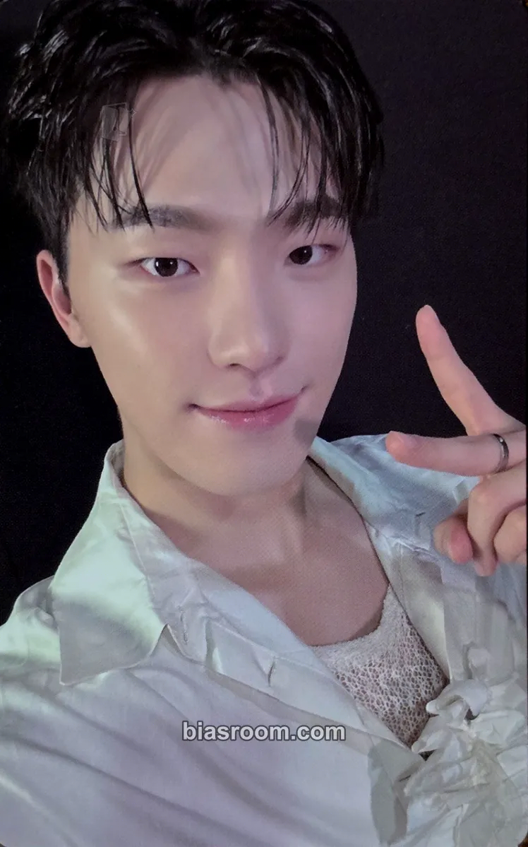 Dino Spill the Feels Photocard - SEVENTEEN - SEVENTEEN K-pop photocard