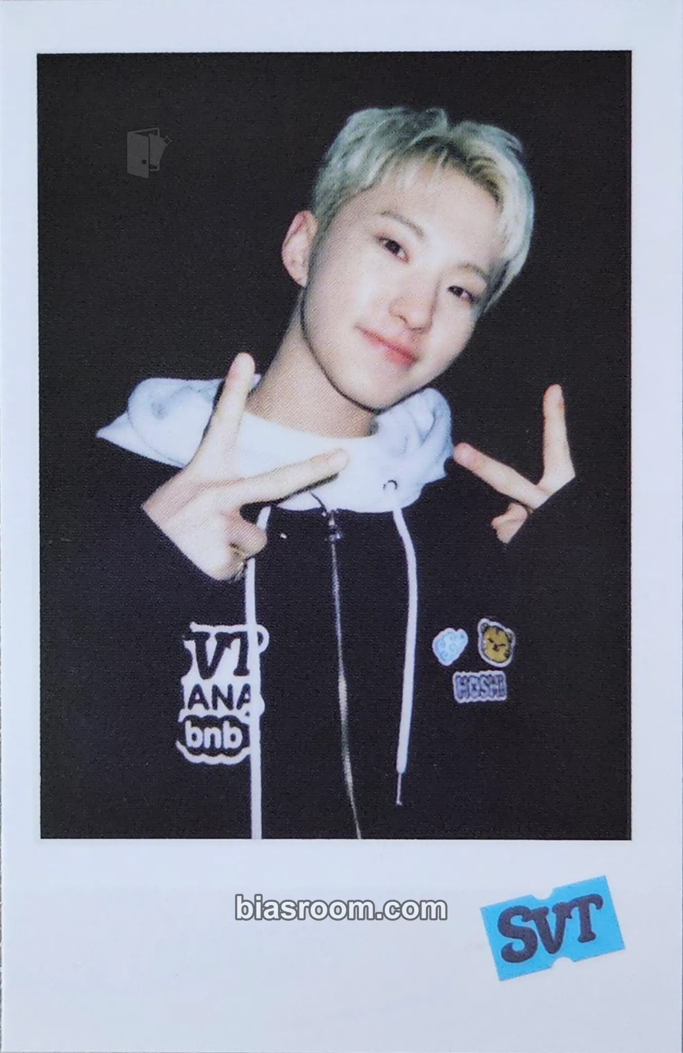Hoshi NANA bnb with SEVENTEEN VOD Photocard - SEVENTEEN - SEVENTEEN K-pop photocard