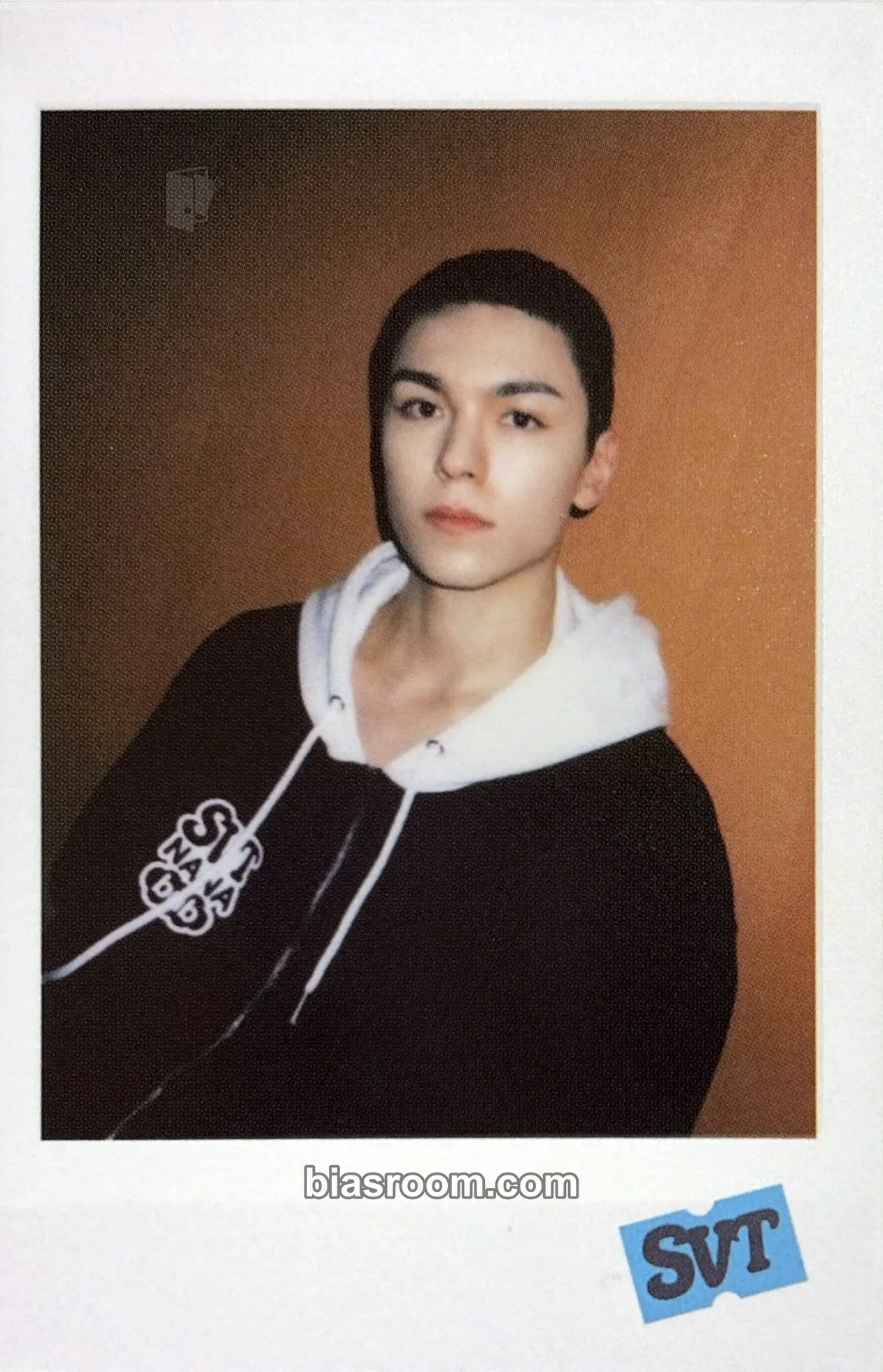 Vernon NANA bnb with SEVENTEEN VOD Photocard - SEVENTEEN - SEVENTEEN K-pop photocard