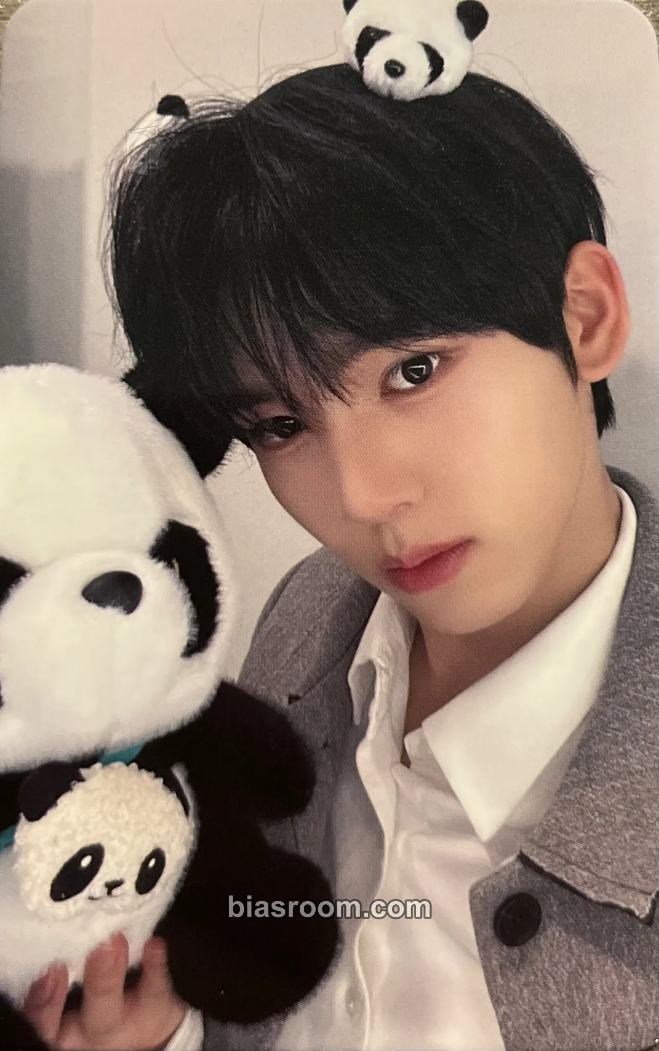 Yujin You Had Me at Hello Photocard - ZEROBASEONE - ZEROBASEONE K-pop photocard