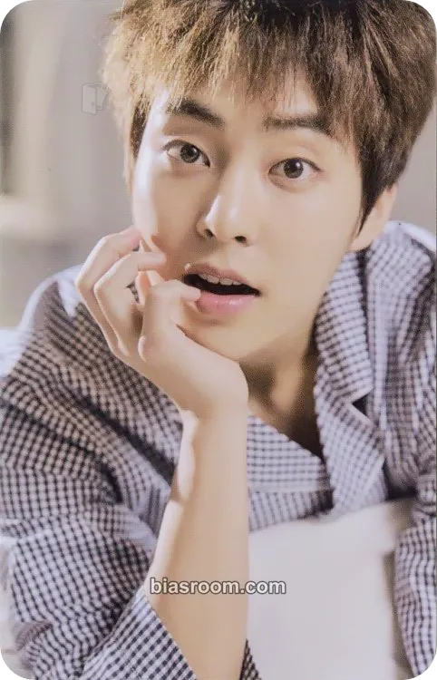 Xiumin Artist&FLO <EXO> Photocard - EXO - EXO K-pop photocard