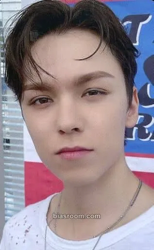 Vernon SECTOR 17 Photocard - SEVENTEEN - SEVENTEEN K-pop photocard