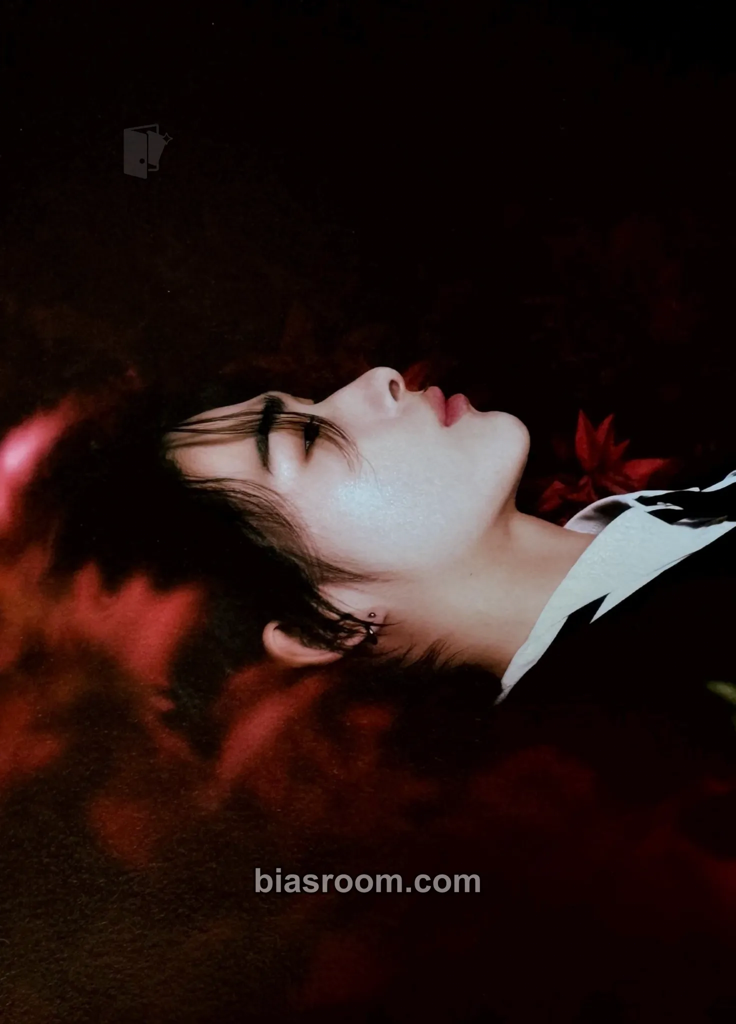 Ni-ki DARK BLOOD Photocard - ENHYPEN - ENHYPEN K-pop photocard