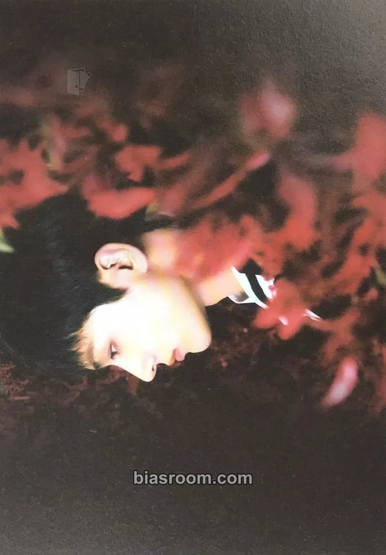 Jay DARK BLOOD Photocard - ENHYPEN - ENHYPEN K-pop photocard