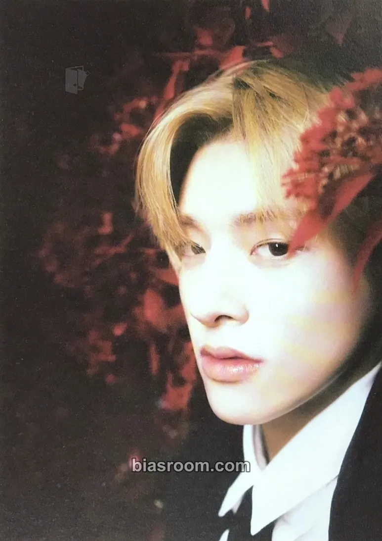 Jake DARK BLOOD Photocard - ENHYPEN - ENHYPEN K-pop photocard