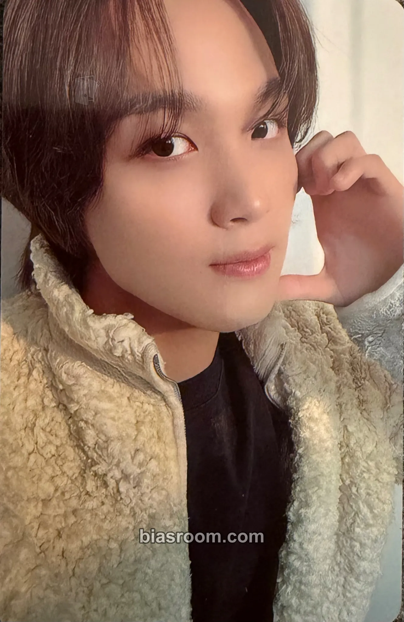 Haechan Fact Check Photocard - NCT 127 - NCT 127 K-pop photocard