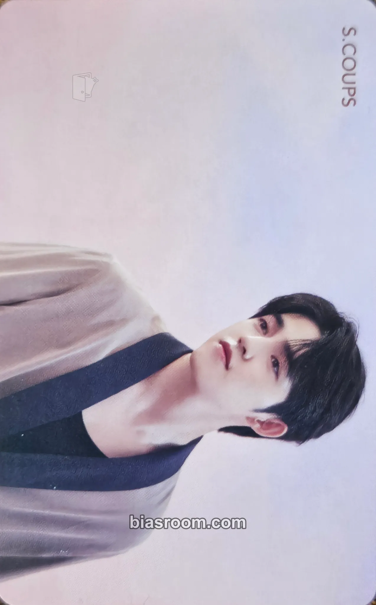 S.Coups Fallin' Flower Photocard - SEVENTEEN - SEVENTEEN K-pop photocard