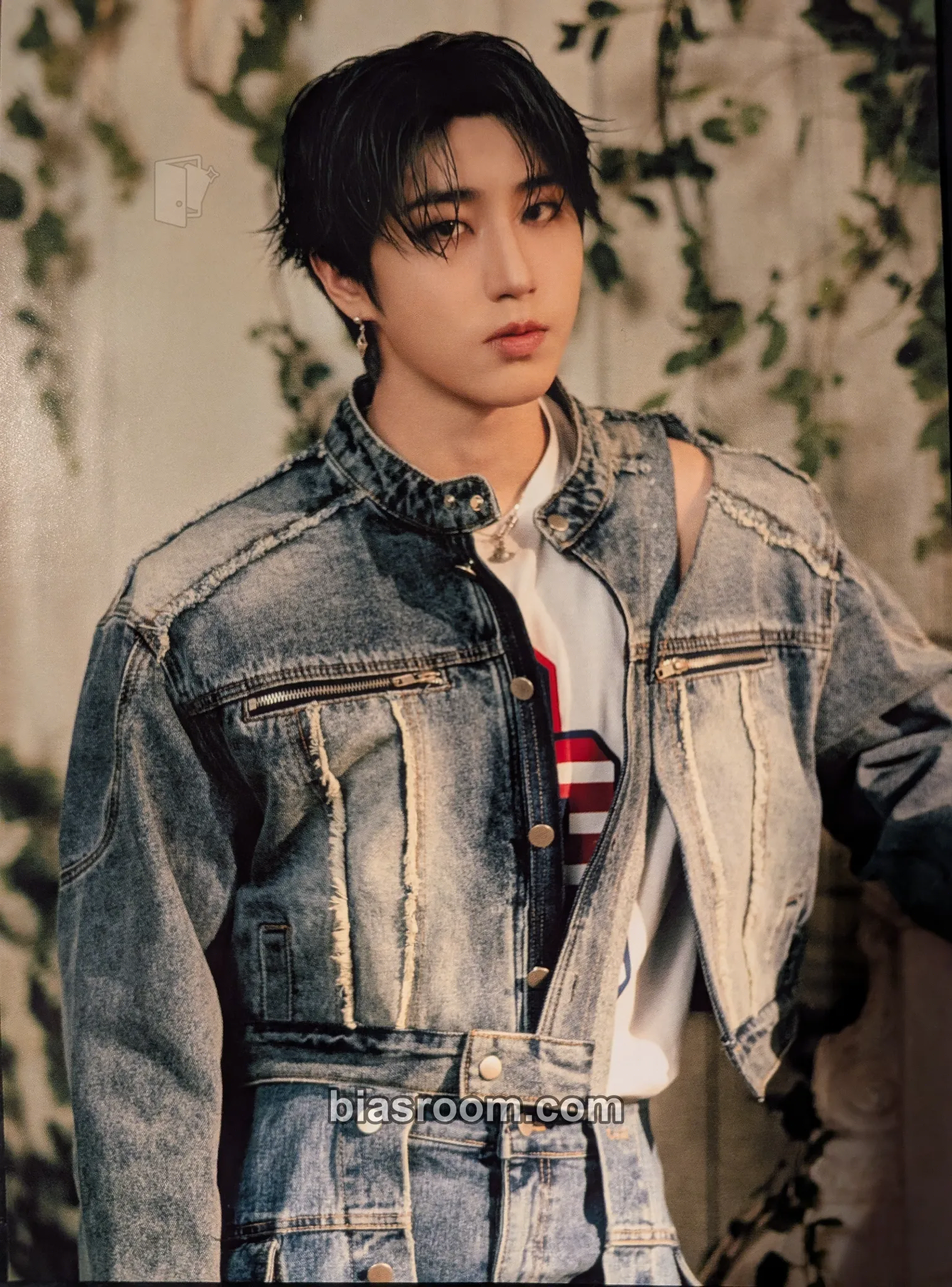 HAN Hollow Photocard - Stray Kids - Stray Kids K-pop photocard
