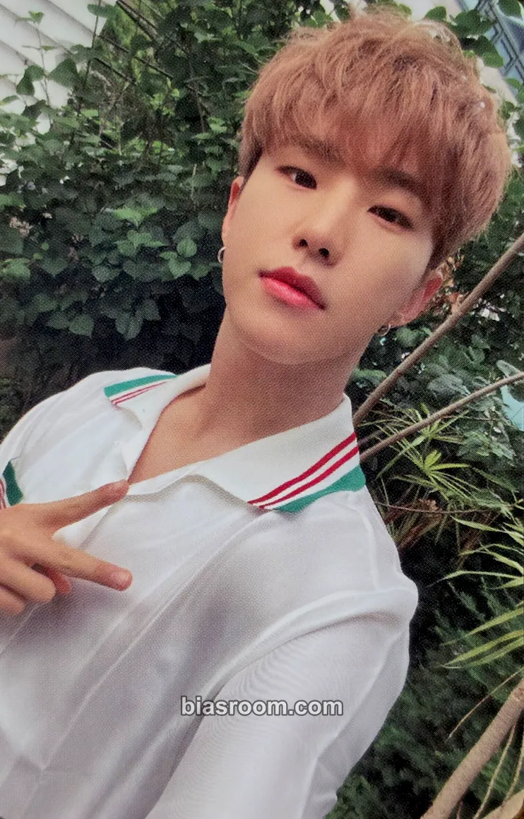 Hoshi DICON Photocard 101: Custom Book Photocard - SEVENTEEN - SEVENTEEN K-pop photocard