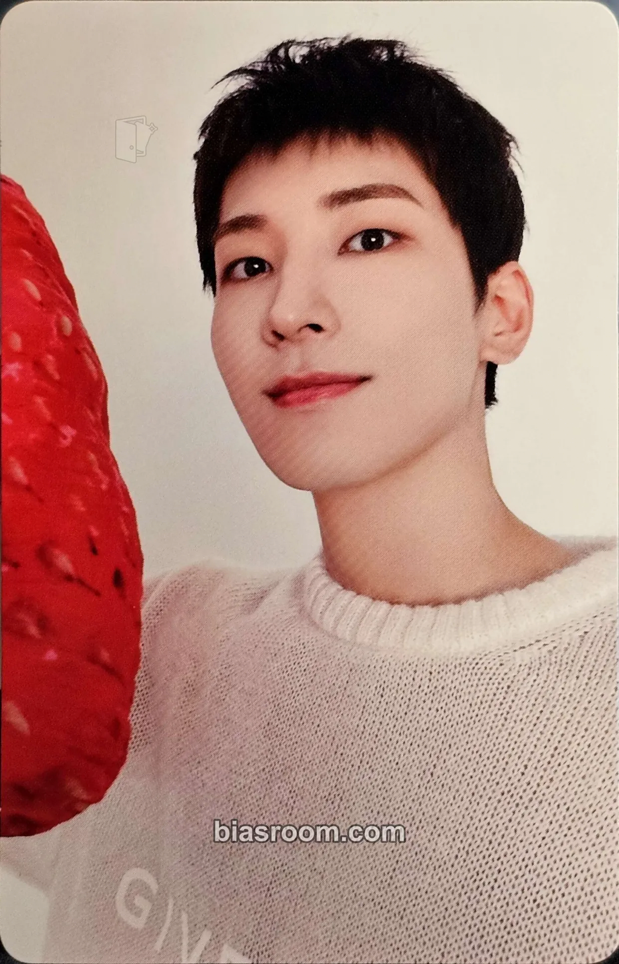 Wonwoo Always Yours Photocard - SEVENTEEN - SEVENTEEN K-pop photocard