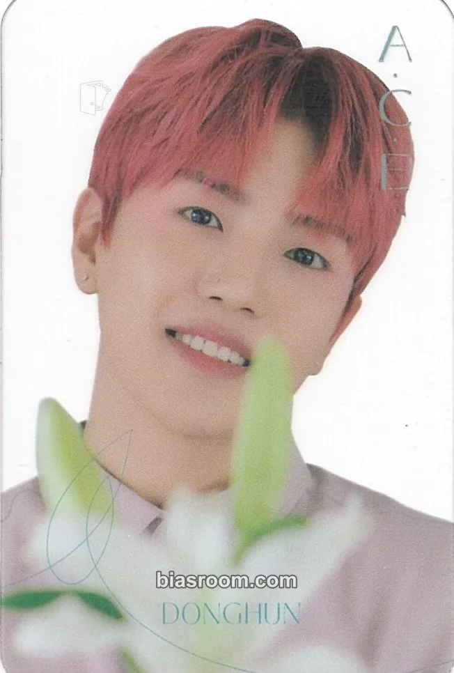 Lee Jiham A.C.E 2021 Season's Greetings Photocard - A.C.E - A.C.E K-pop photocard