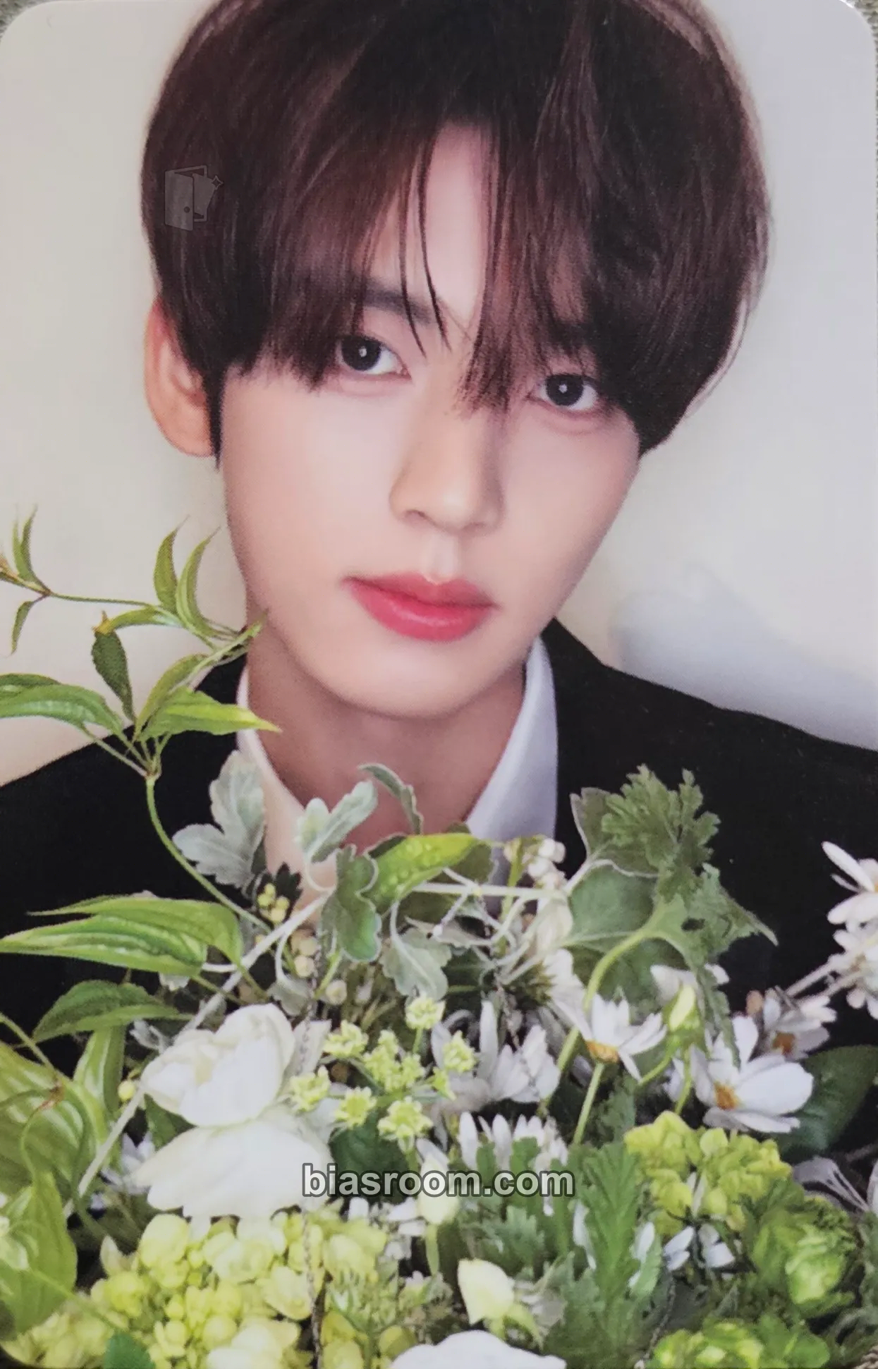 Yujin Re-flow Photocard - ZEROBASEONE - ZEROBASEONE K-pop photocard