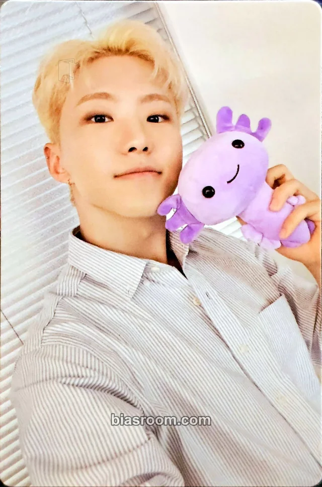 SEVENTEEN - Hoshi - CDMX POP UPS Event lucky draw