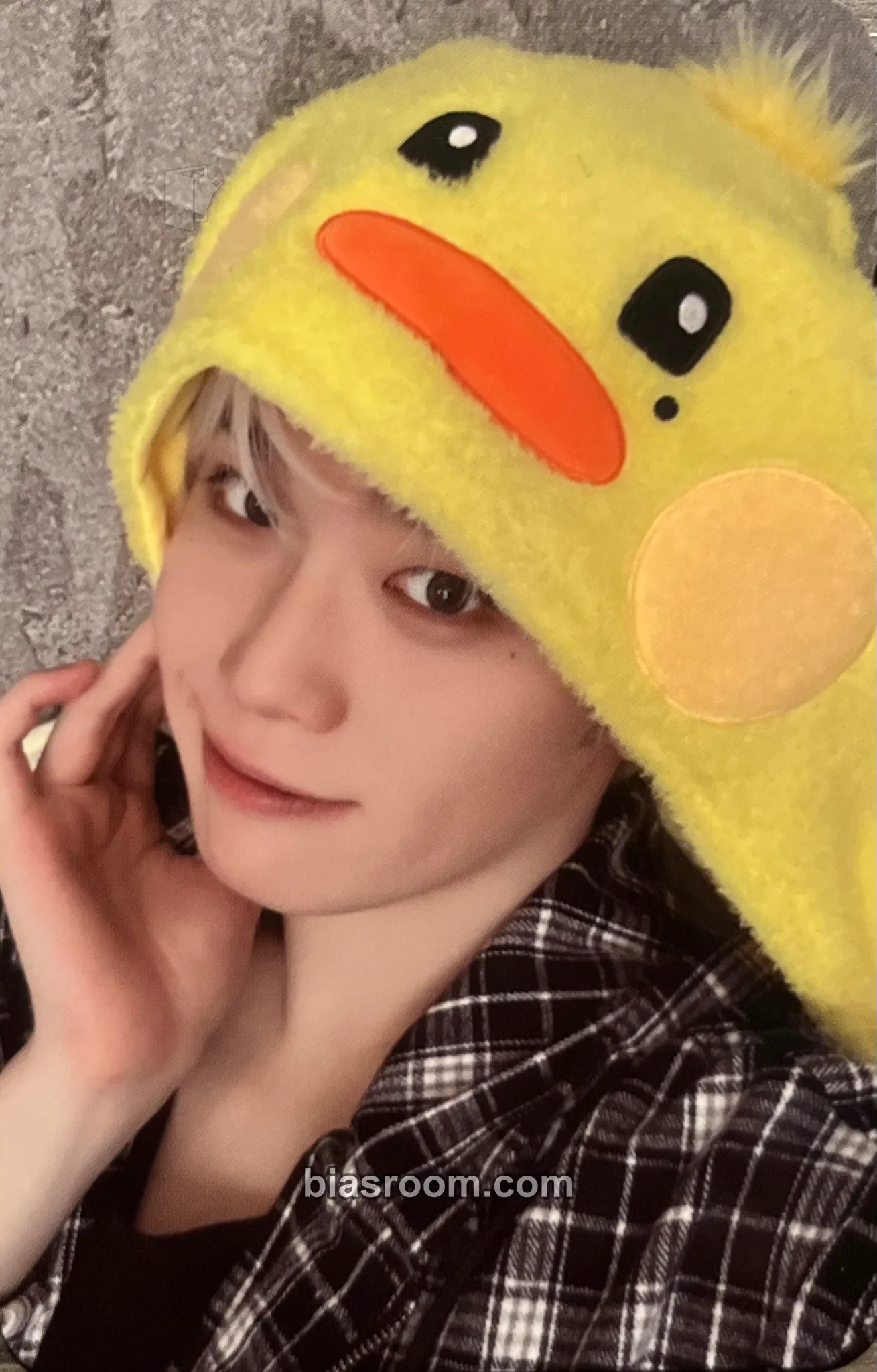 Taerae Zeroni Fluffy Wonderland Pop-up (Line Friends) Photocard - ZEROBASEONE - ZEROBASEONE K-pop photocard
