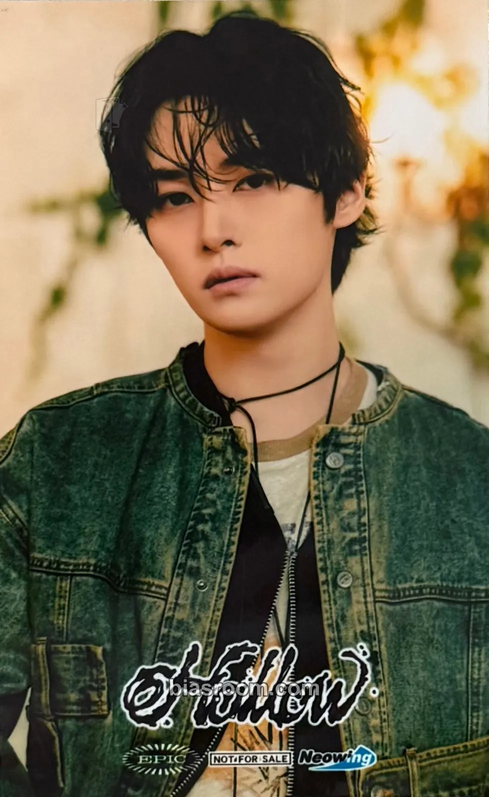 Lee Know Hollow Photocard - Stray Kids - Stray Kids K-pop photocard