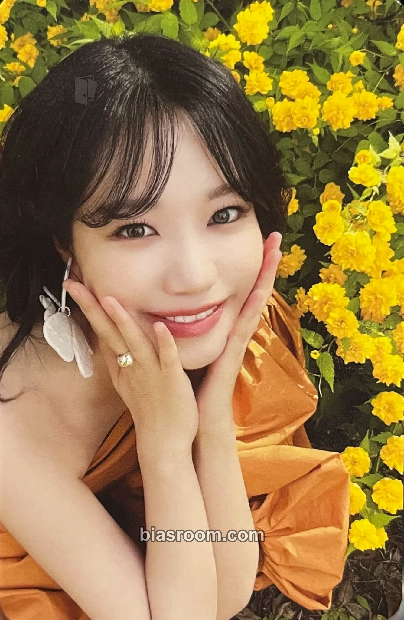 Jo Yuri Op.22 Y-Waltz : in Major Photocard - Jo Yuri K-pop photocard