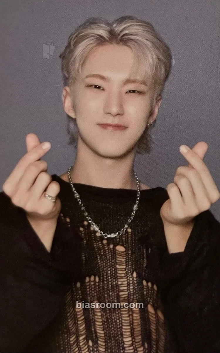 Hoshi Spill the Feels Photocard - SEVENTEEN - SEVENTEEN K-pop photocard