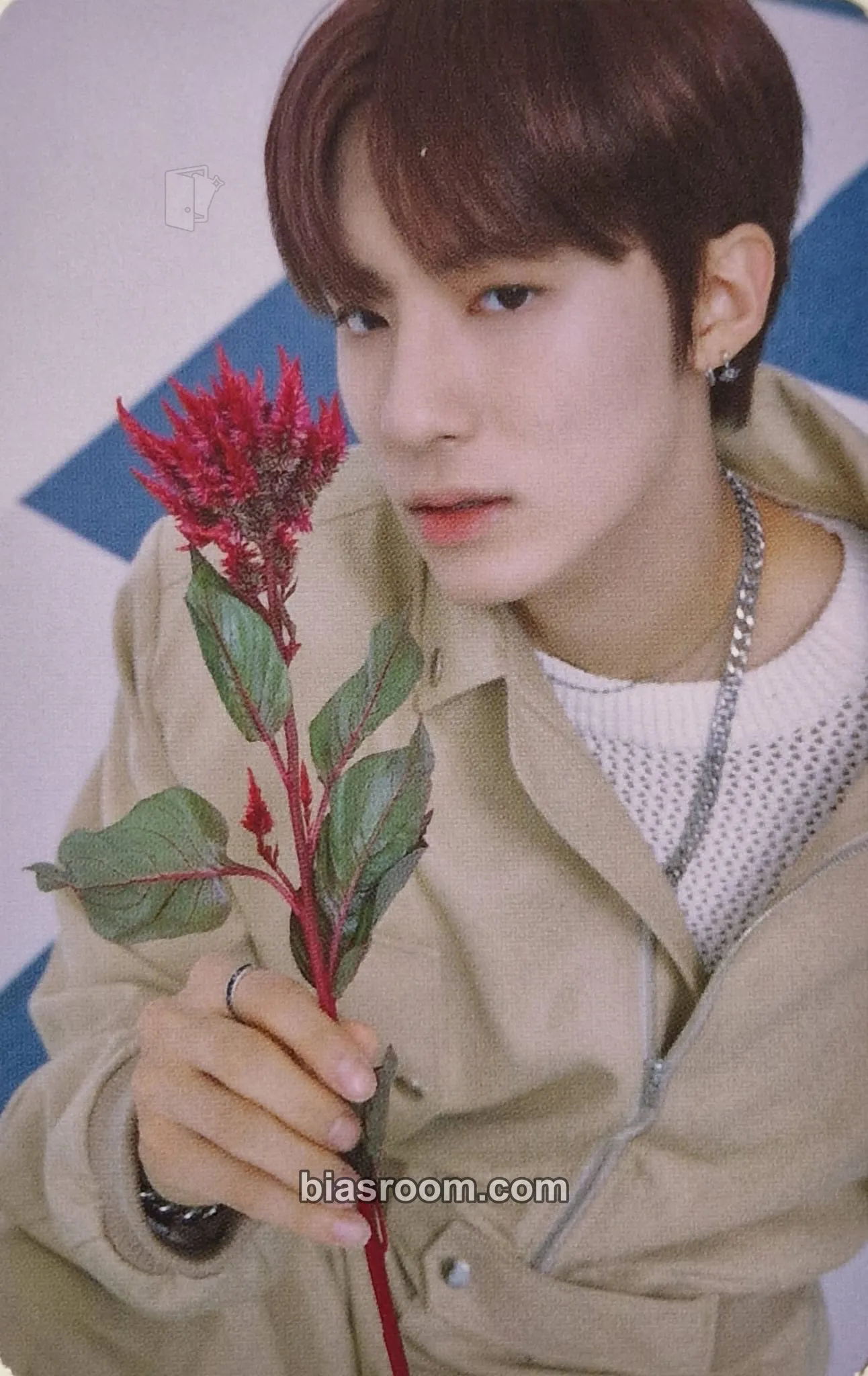 Eric THE STAR X THE BOYZ Photocard - THE BOYZ - THE BOYZ K-pop photocard