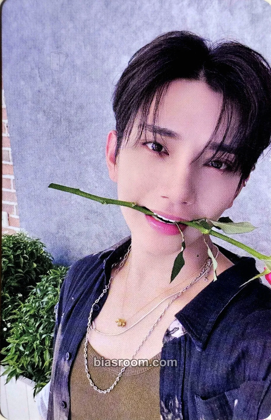 Joshua Spill the Feels Photocard - SEVENTEEN - SEVENTEEN K-pop photocard