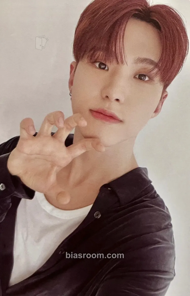 Hoshi 2024 Season's Greetings Photocard - SEVENTEEN - SEVENTEEN K-pop photocard