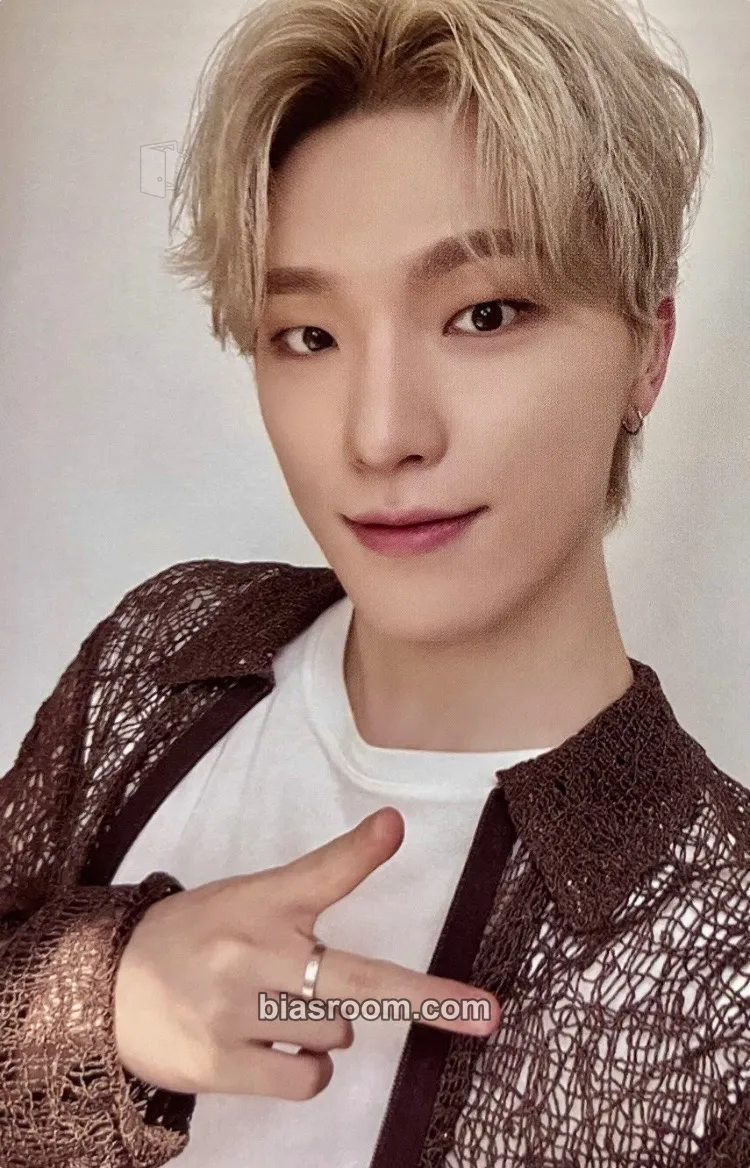 Dino 2024 Season's Greetings Photocard - SEVENTEEN - SEVENTEEN K-pop photocard