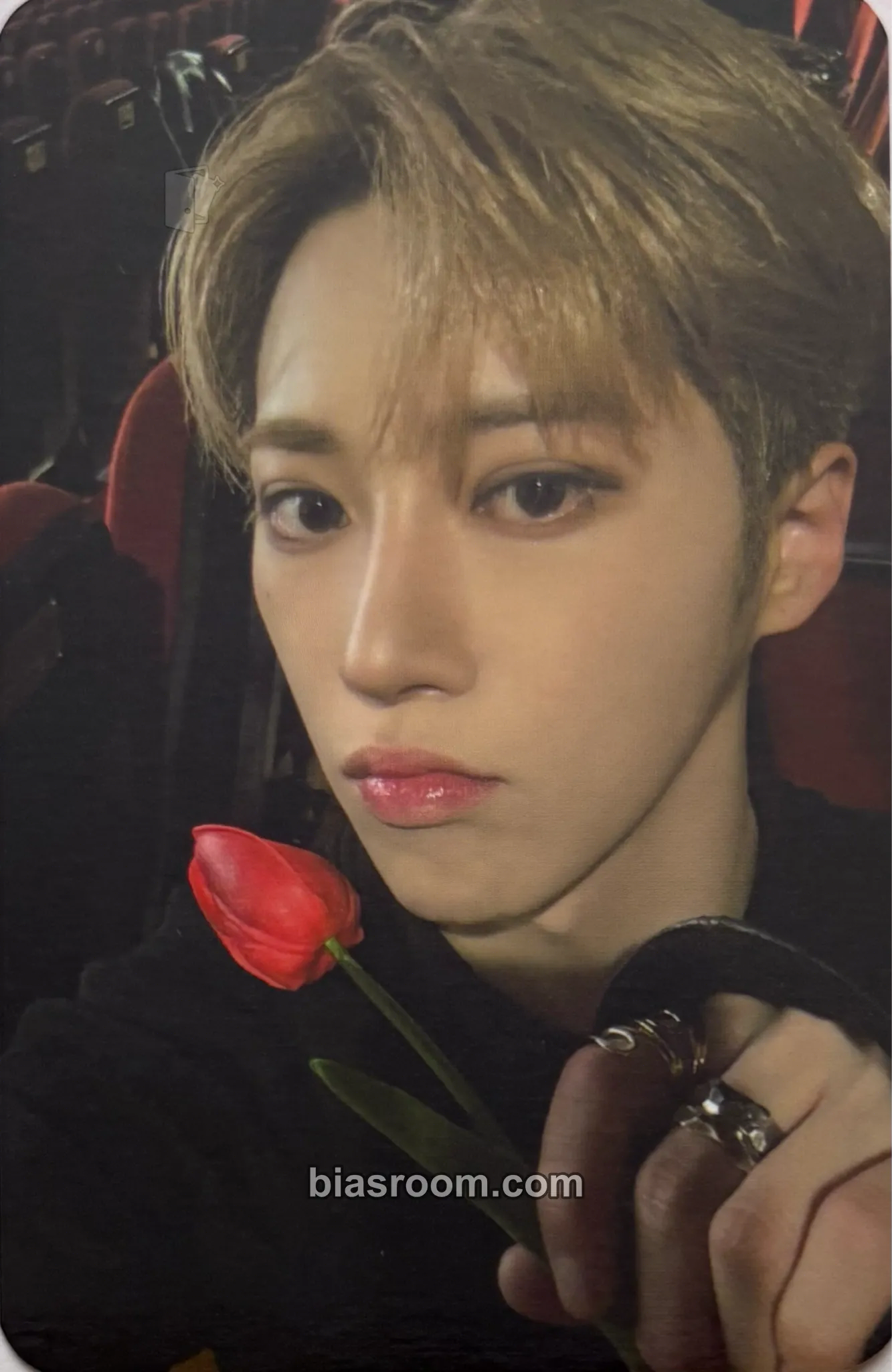 Arno EUPHORIA Photocard - ALPHA DRIVE ONE - ALPHA DRIVE ONE K-pop photocard