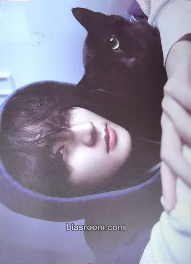ENHYPEN - Jungwon - ROMANCE: UNTOLD-DAYDREAM- Album album inclusion postcard japan edition