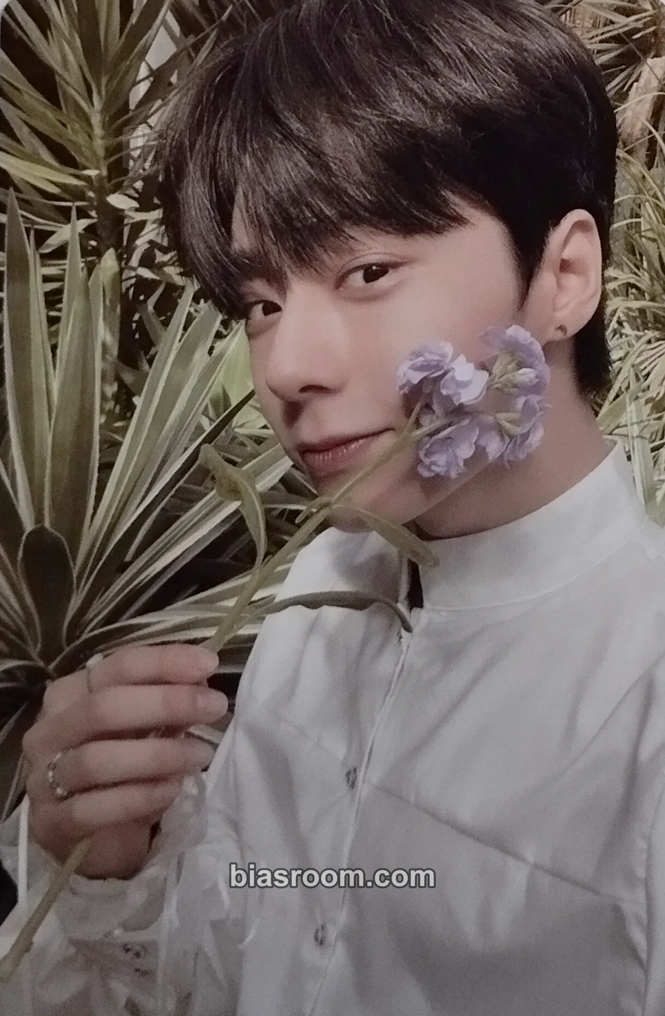 Hwanwoong Season‘s Greetings 2023 - The Forest of US Photocard - ONEUS - ONEUS K-pop photocard
