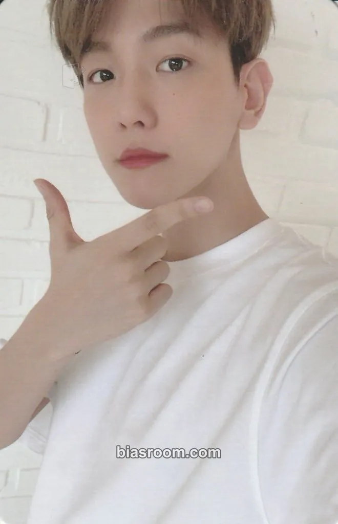 Baekhyun 2020 EXO-L Official Fanclub Membership Kit Photocard - EXO - EXO K-pop photocard