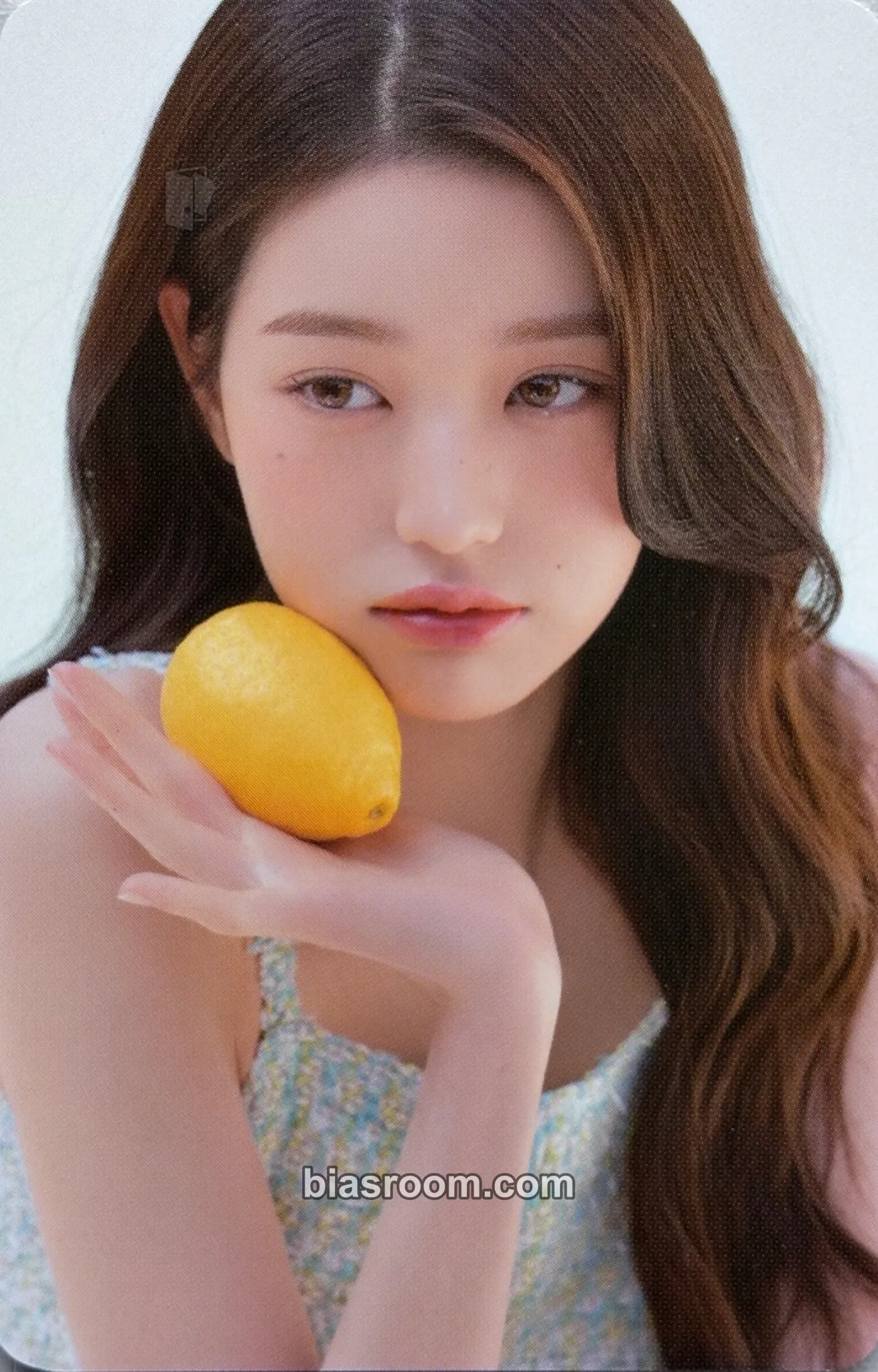 Wonyoung Wonyoung x Hapa Kristin Photocard - IVE - IVE K-pop photocard