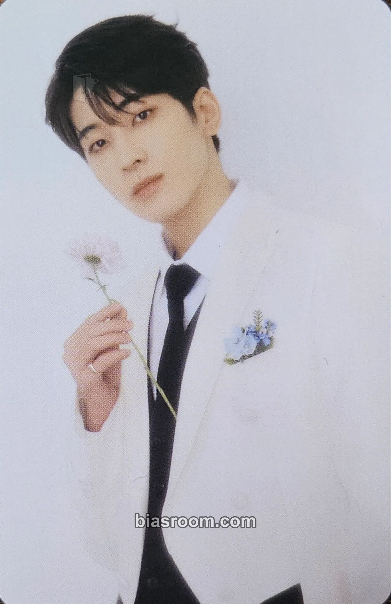 Wonwoo FML Photocard - SEVENTEEN - SEVENTEEN K-pop photocard