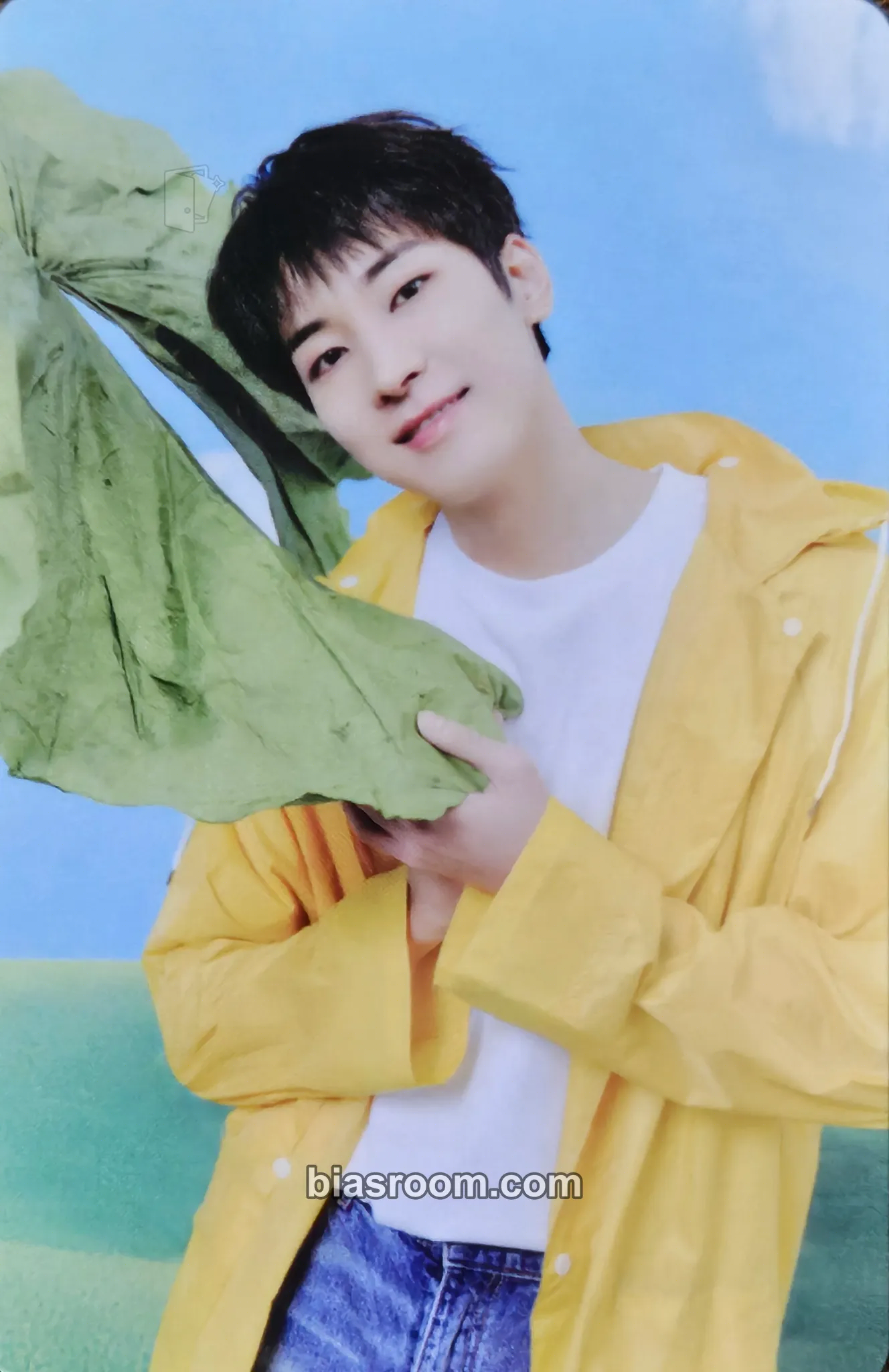 Wonwoo Seventeenth Heaven Photocard - SEVENTEEN - SEVENTEEN K-pop photocard