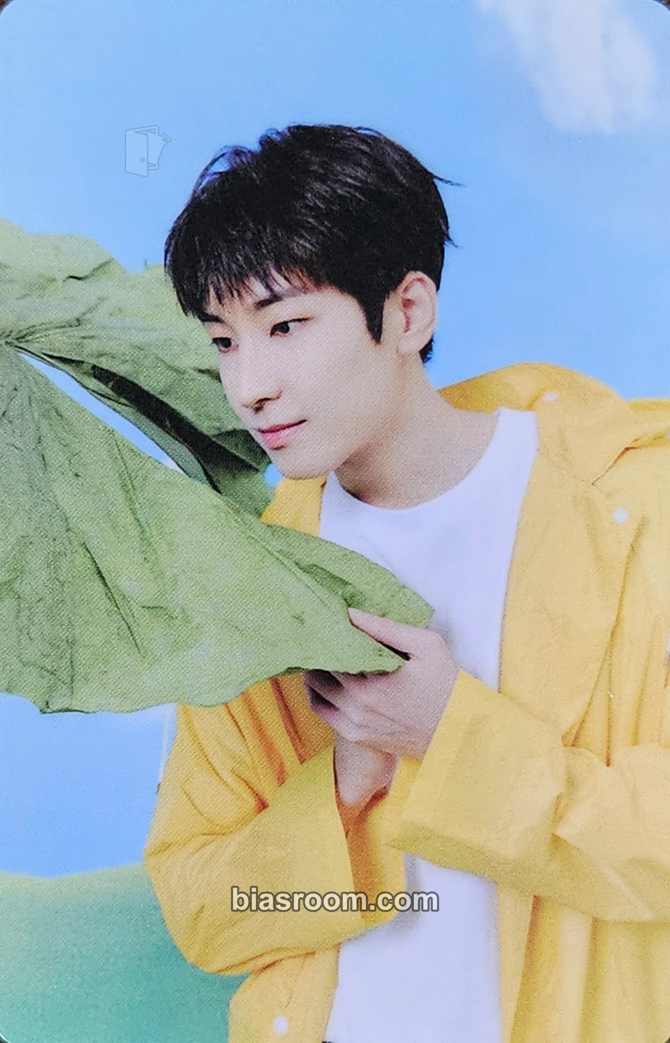 Wonwoo Seventeenth Heaven Photocard - SEVENTEEN - SEVENTEEN K-pop photocard