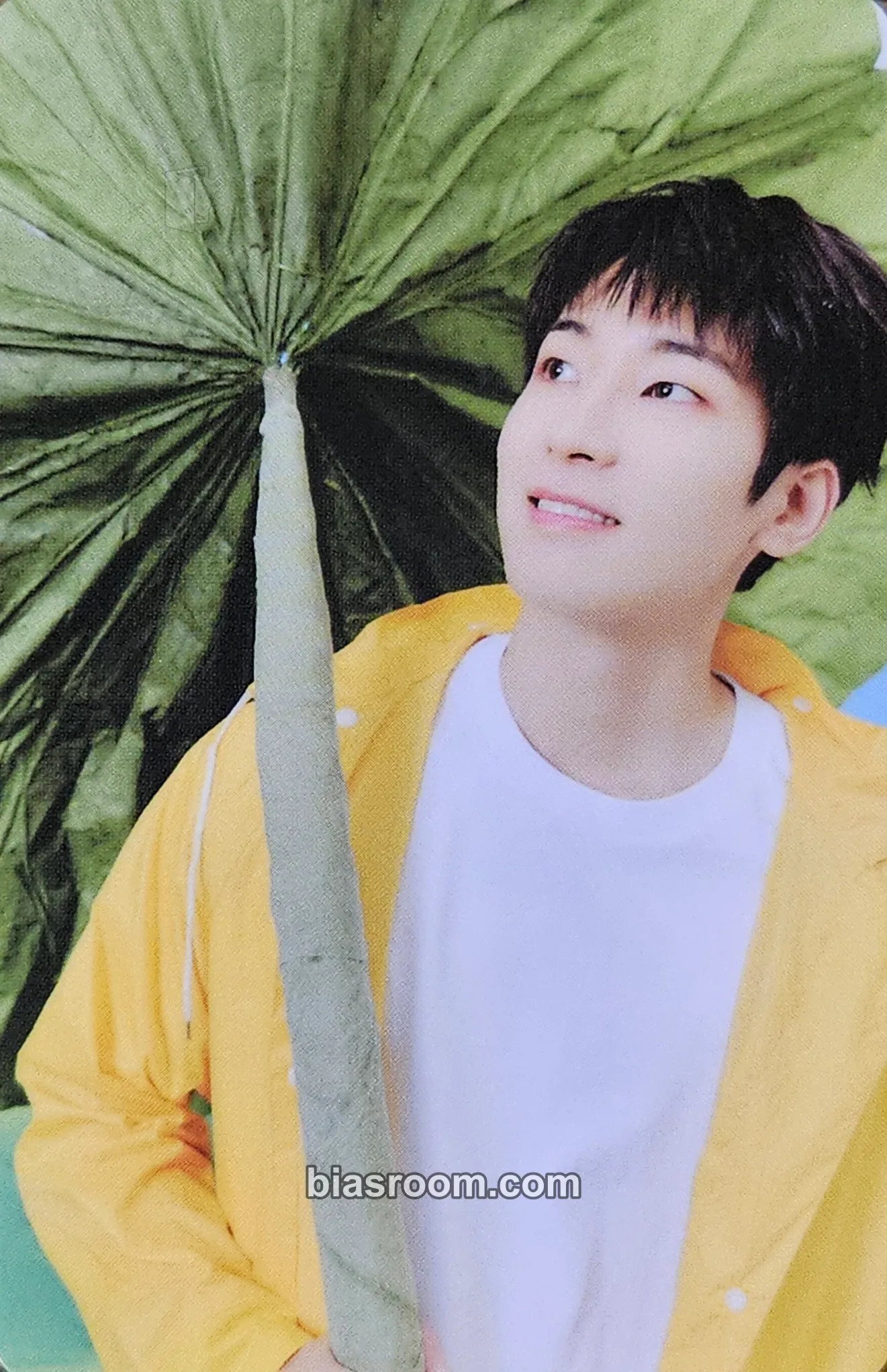 Wonwoo Seventeenth Heaven Photocard - SEVENTEEN - SEVENTEEN K-pop photocard