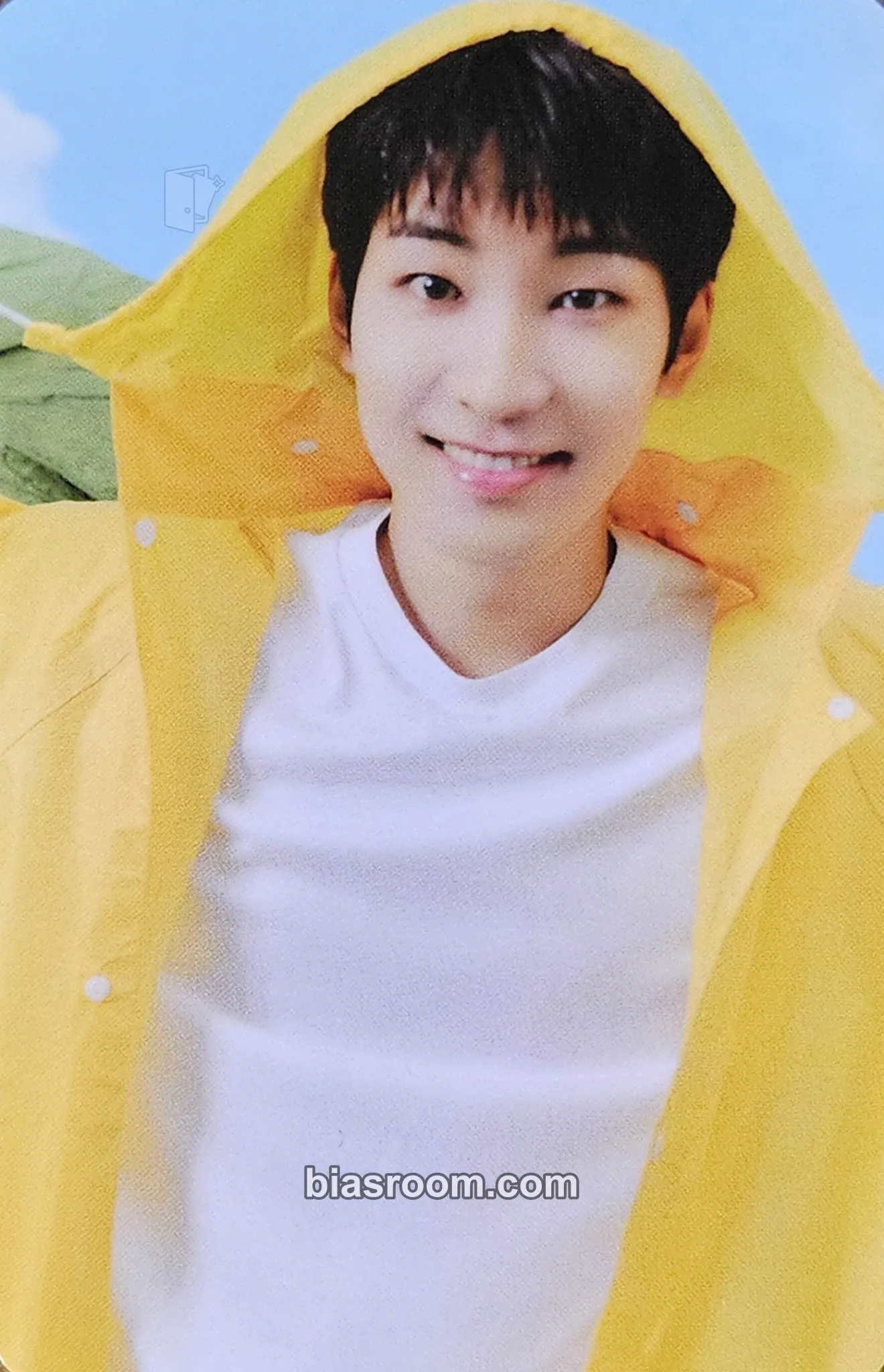 Wonwoo Seventeenth Heaven Photocard - SEVENTEEN - SEVENTEEN K-pop photocard