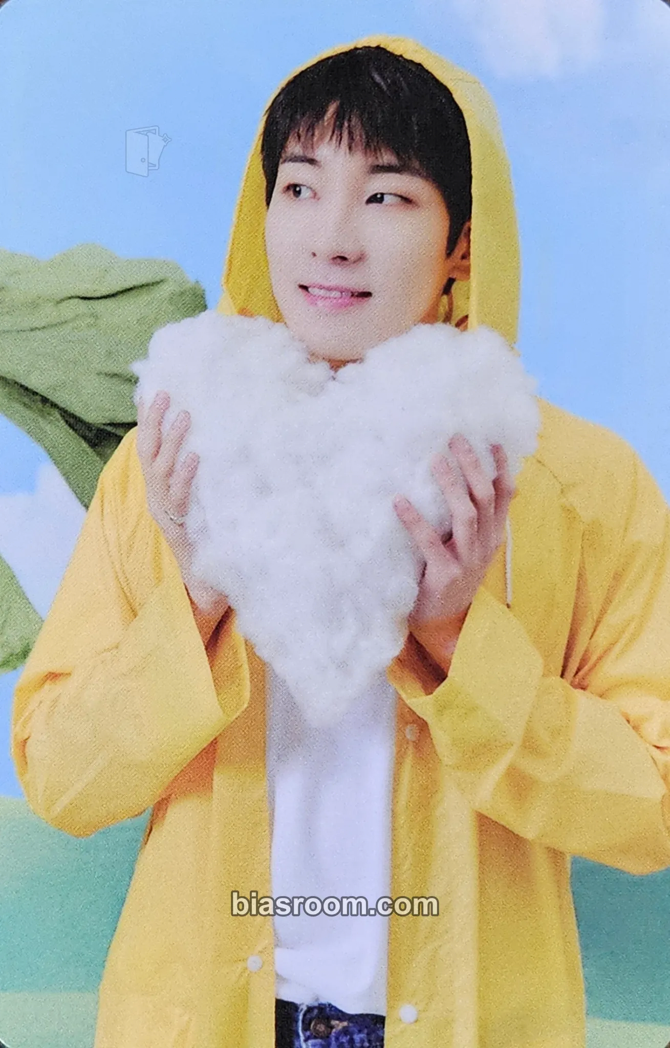 Wonwoo Seventeenth Heaven Photocard - SEVENTEEN - SEVENTEEN K-pop photocard