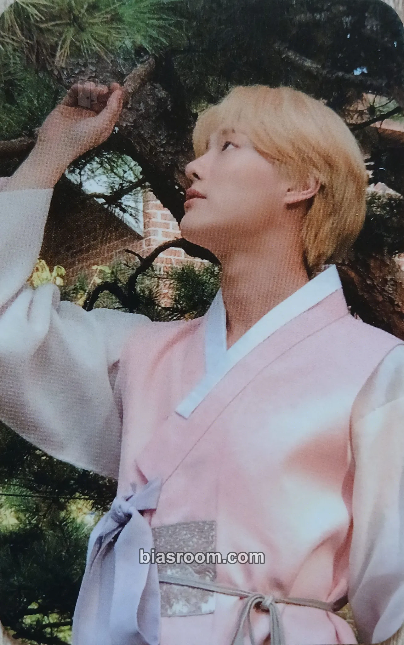 WOODZ 2021 Season's Greetings 'Jo's Day' Photocard - WOODZ K-pop photocard
