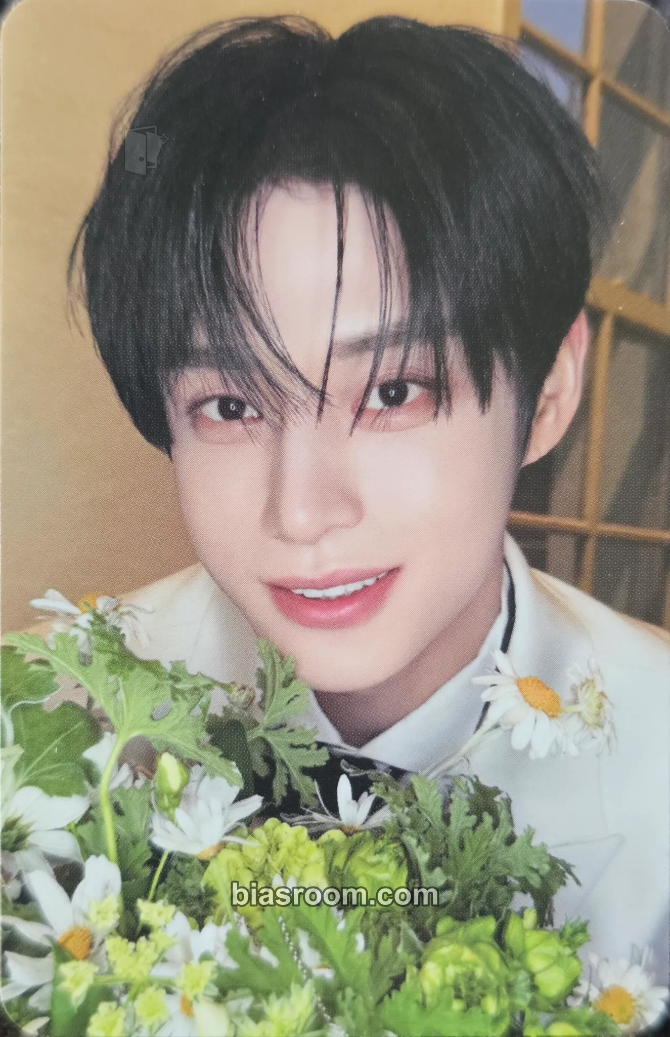 Jiwoong Re-flow Photocard - ZEROBASEONE - ZEROBASEONE K-pop photocard