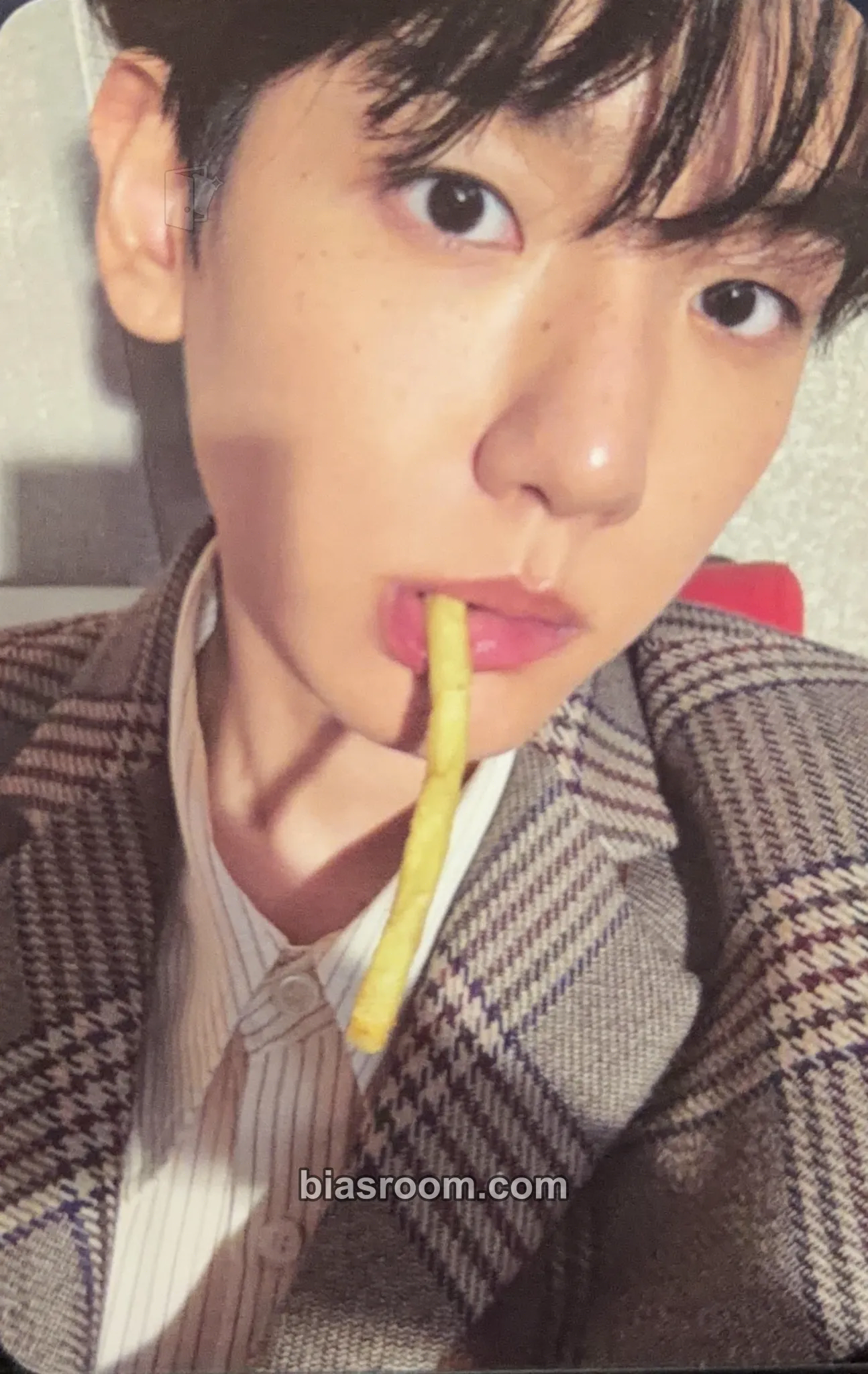 Baekhyun 2025 BAEKHYUN Season's Greetings — Mr. Mischief Photocard - EXO - EXO K-pop photocard