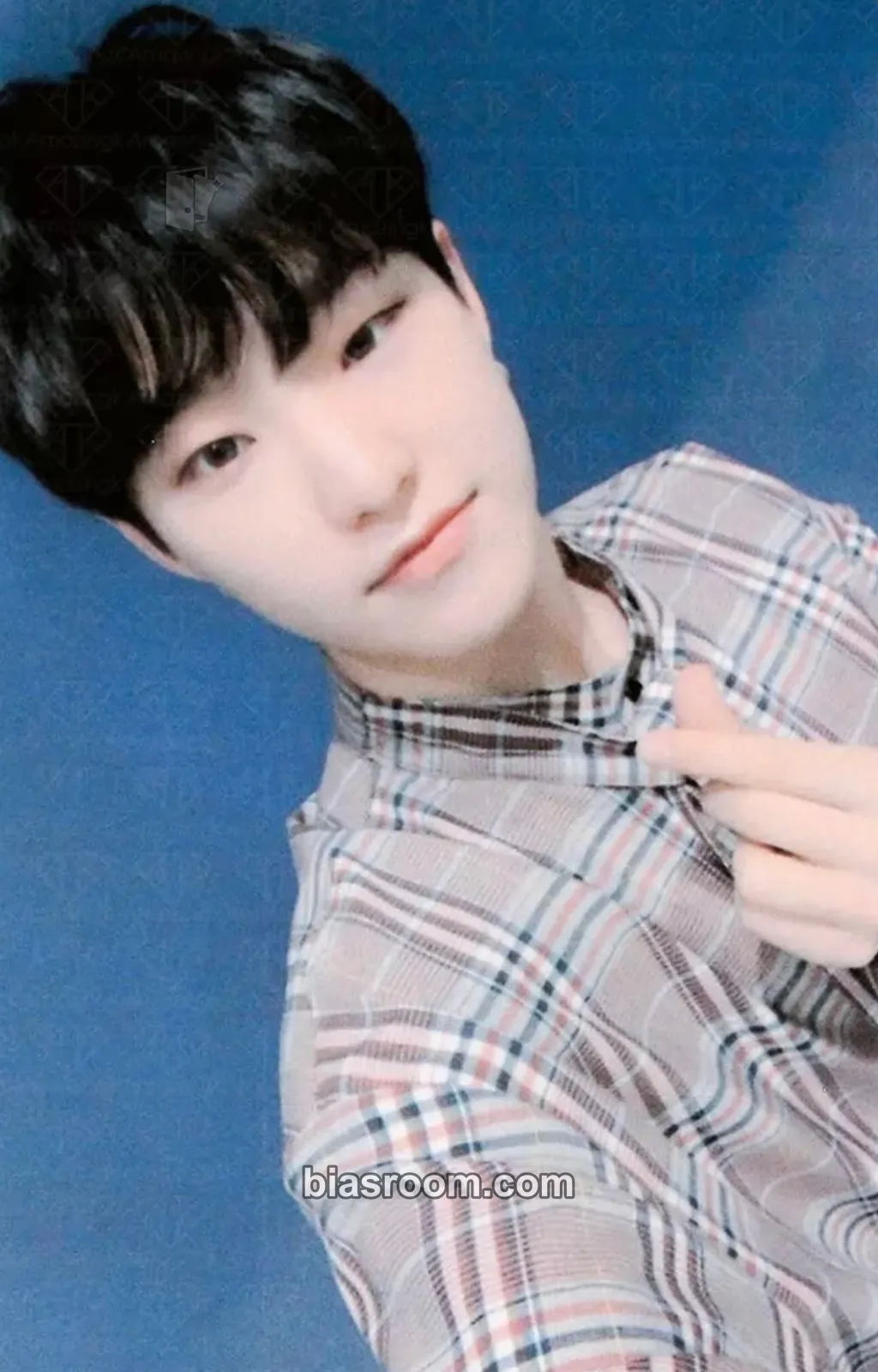 Hoshi You Made My Dawn Photocard - SEVENTEEN - SEVENTEEN K-pop photocard